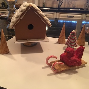 Fundraising Page: Snow Birds